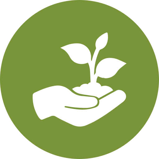 icone plantation arbre arbuste massif